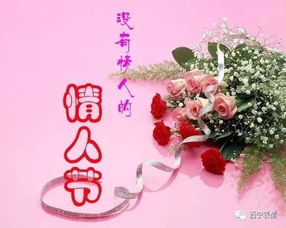 没有情人的情人节歌词