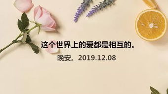 别让爱你的人心碎 歌词