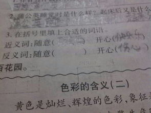 随意的反义词