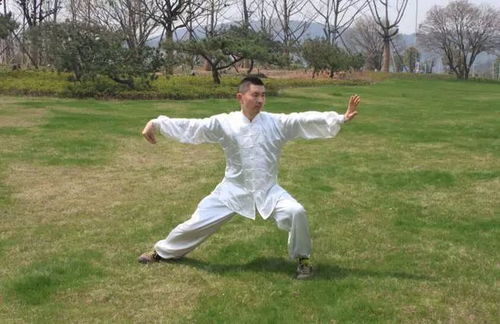 太极拳24式名称