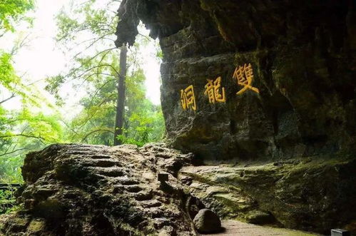 记金华的双龙洞位于哪儿