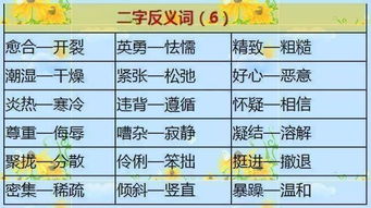 随意的反义词是什么是什么