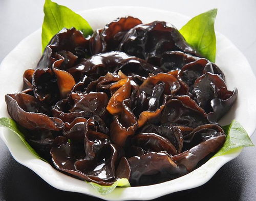 木耳什么意思