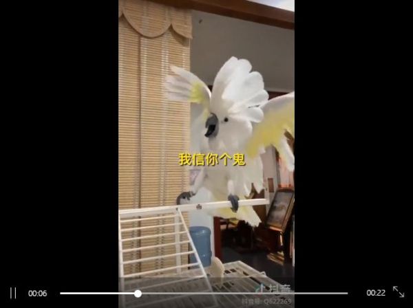 70%客流来自抖音!一家冷清的小客栈如何逆袭成网红店?| 专访