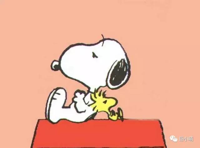 全世界都认识Snoopy,但不是每个人都知道它是什么狗