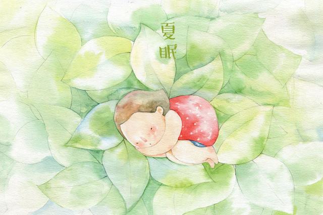 除了冬眠,其实还有“夏眠”,你知道有哪些动物会“夏眠”嘛?