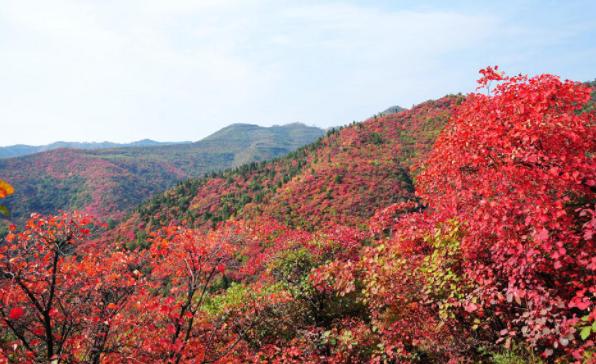 北京香山的红叶什么时候最红 香山红叶几月份好看
