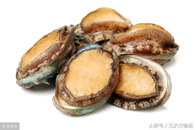 鳄鱼不是鱼,鲸鱼也不是鱼,鲨鱼是鱼吗?