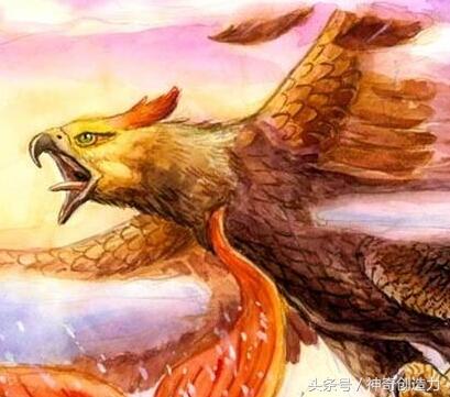 传说中上古神兽鲲鹏究竟是什么