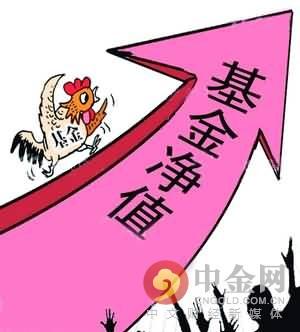 基金净值是什么意思