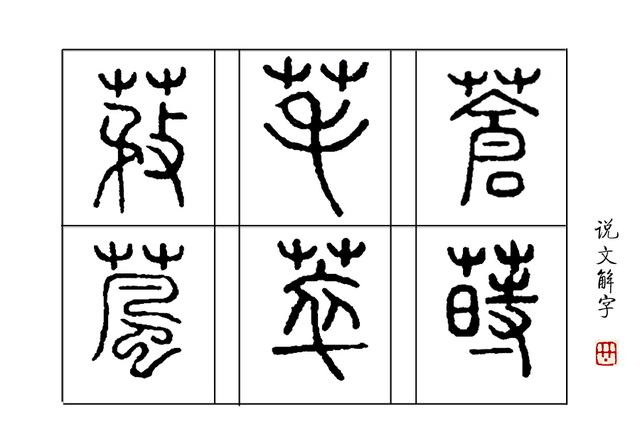 汉字:成语“白云苍狗”里的“苍”具体是什么意思?