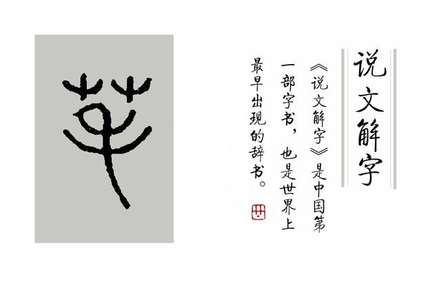 汉字:成语“白云苍狗”里的“苍”具体是什么意思?