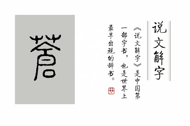 汉字:成语“白云苍狗”里的“苍”具体是什么意思?