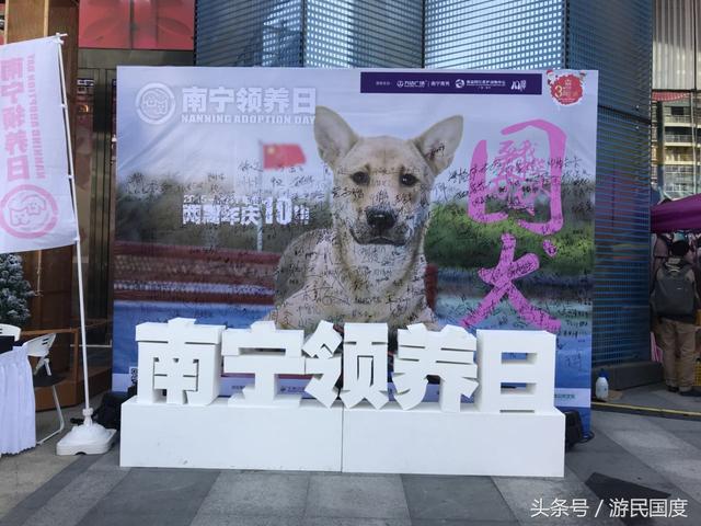 第十届南宁领养日现场|选择领养,选择买不到的爱