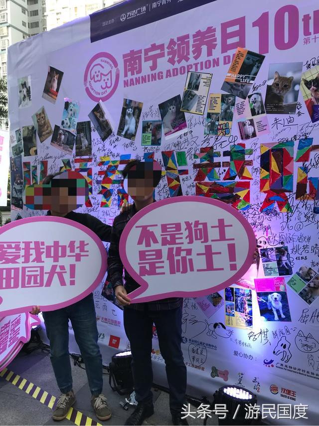 第十届南宁领养日现场|选择领养,选择买不到的爱