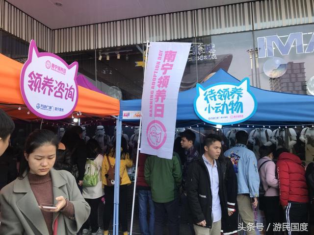 第十届南宁领养日现场|选择领养,选择买不到的爱