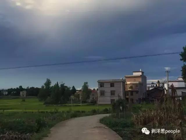 拒入传销,以命相抗,女大学生林华蓉投河前的25天