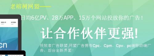 老榕树:网站挂广告联盟广告会增加收录吗?