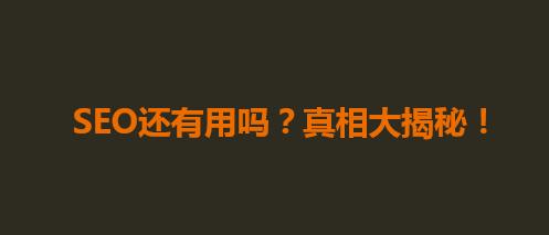 SEO还有用吗?真相大揭秘!