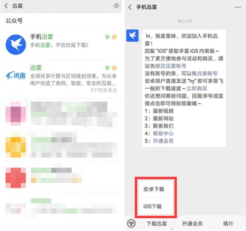 迅雷IOS版恢复下载,又能用苹果手机下载电影愉快追剧了