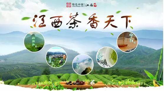 江西十大名茶,你最爱哪一款?