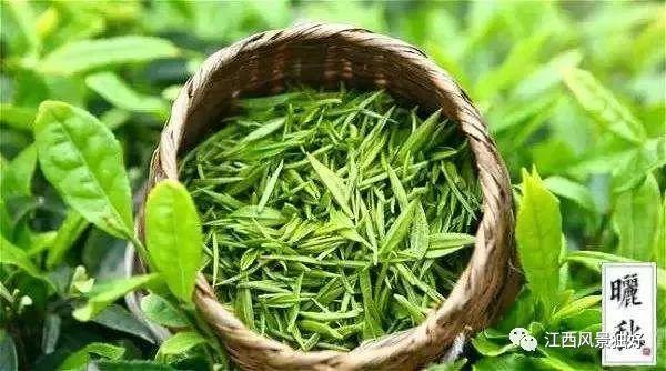 江西十大名茶,你最爱哪一款?