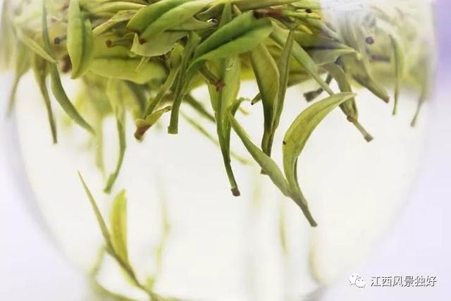江西十大名茶,你最爱哪一款?