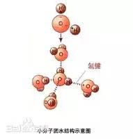 什么叫小分子团水