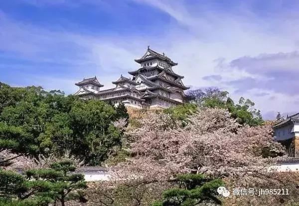大学里的“试验班”、“基地班”是什么?如何选拔?附相关院校