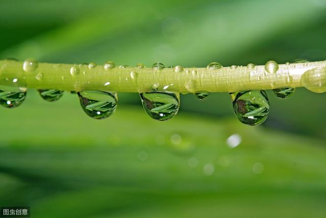 为什么会下雨呀?如果你的孩子问你这个问题,你会怎么回答?