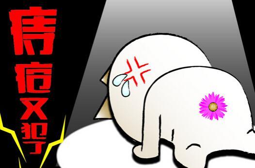 眼线什么牌子好?五款眼线笔的优点和缺点比较