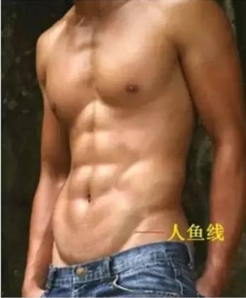 什么是人鱼线?什么是马甲线?