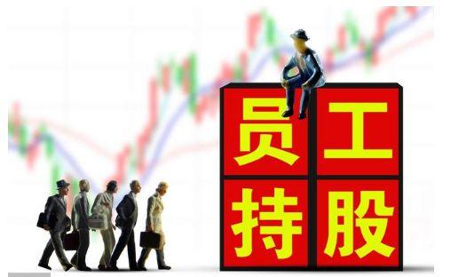 股权激励到底是什么?企业如何合理应用股权激励?
