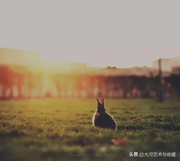 “三十而立”,立什么?原来是这个意思