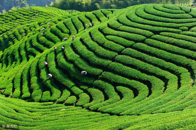 从心理学上说蓝色代表什么?