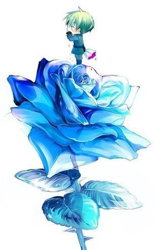 蓝色妖姬,你知道它的花语代表了什么吗?