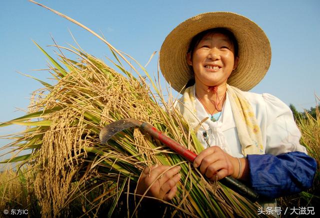 金九银十是什么意思?好多人在9月10月看房买车、跳槽!为什么
