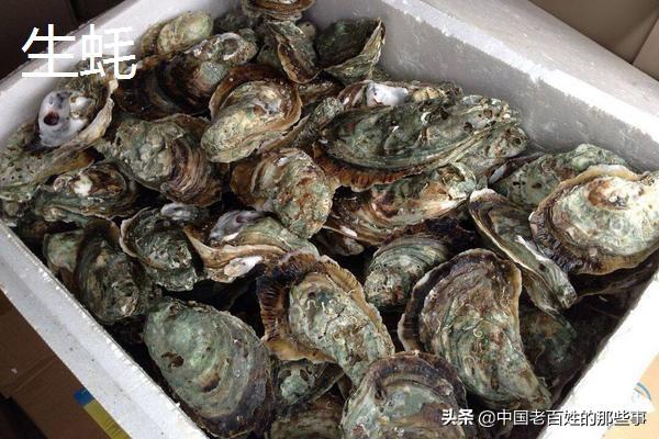 牡蛎和生蚝的区别是什么 牡蛎是生蚝吗