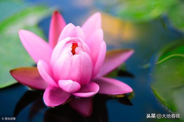 人活着到底是为了什么?十句话告诉你,把人生讲透了!