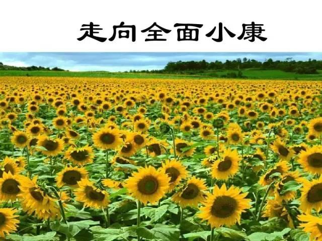 小康社会的两个标准是什么?