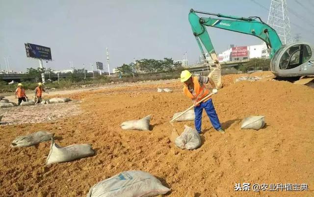 土壤改良技术的不同阶段!实行有机肥与无机肥结合