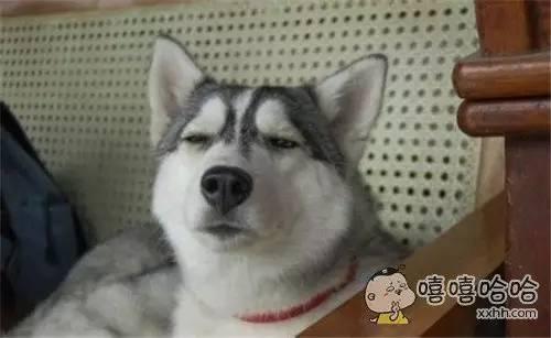 快播涉黄,寻找全世界最有”种“的男人!