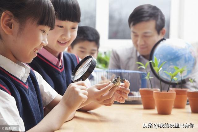 课外阅读,读写结合