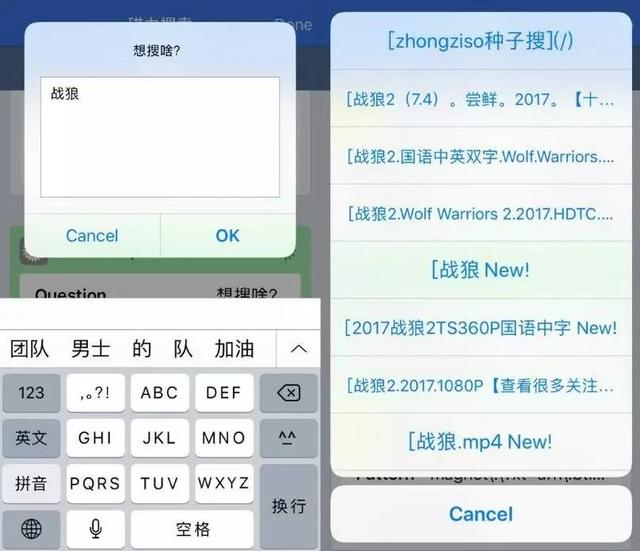 教你在iPhone上随意下载任何电影资源!