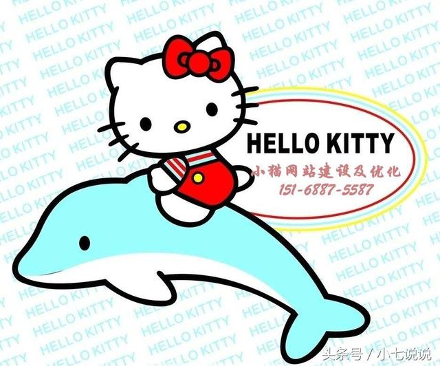 网站优化怎么做哪里做的好,济南小猫网络告诉您