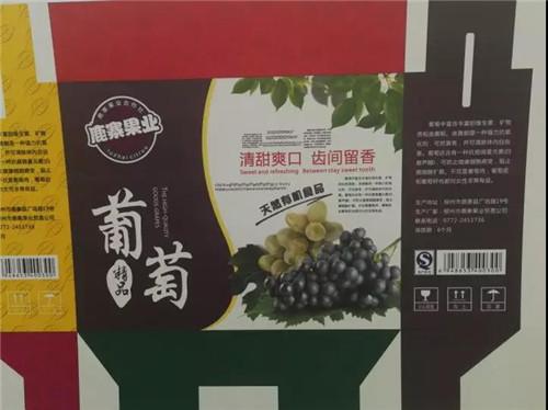 2019国际瓦楞节&国际彩盒节—深圳万德带你领略数码印刷之美