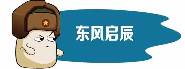 是合资?还是自主?这几个品牌让人傻傻分不清