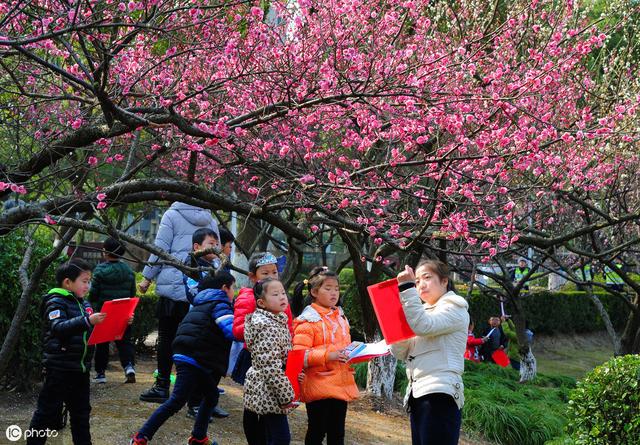 2019最新幼儿园春游活动方案,幼师们收藏起来!