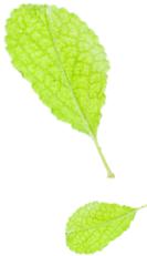 境外旅客购物申请离境退税需符合哪些条件?