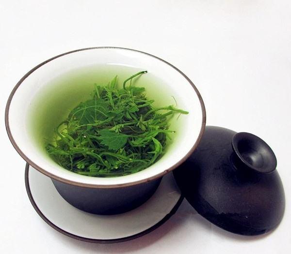 绞股蓝茶泡水喝的6大功效 三高患者必备哦!